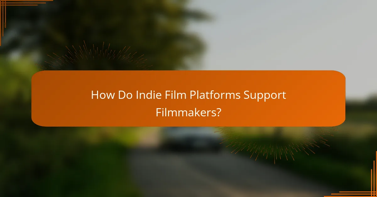 How Do Indie Film Platforms Support Filmmakers?