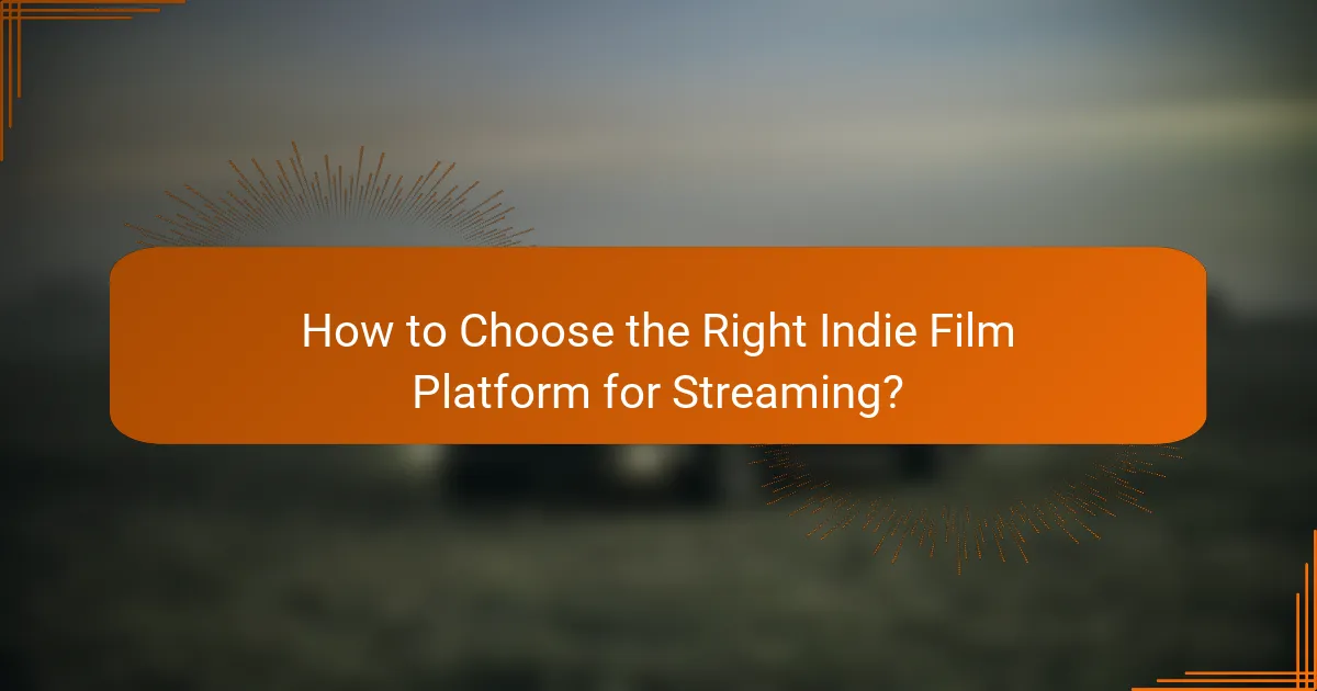 How to Choose the Right Indie Film Platform for Streaming?