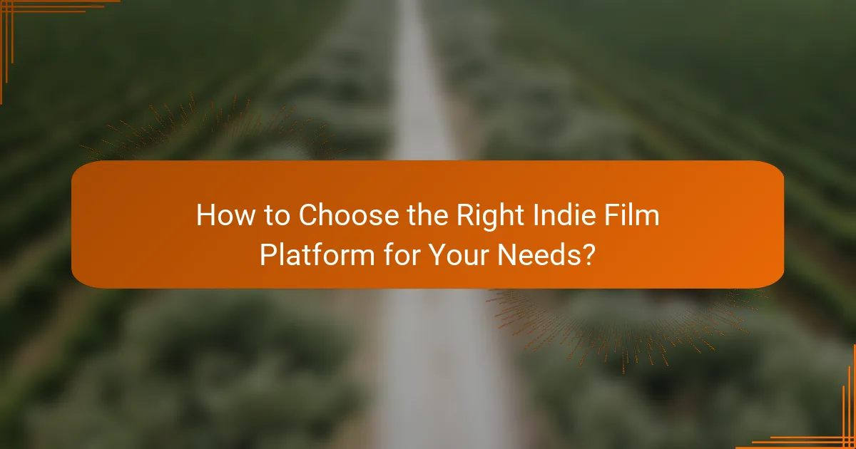 How to Choose the Right Indie Film Platform for Your Needs?