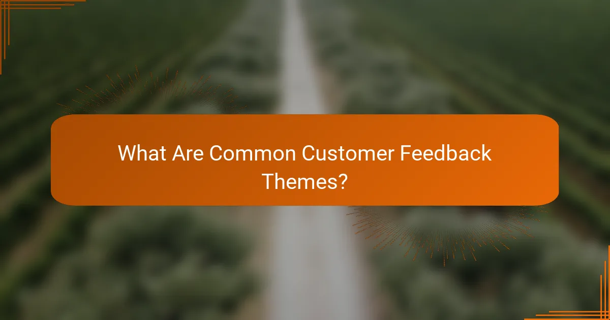 What Are Common Customer Feedback Themes?