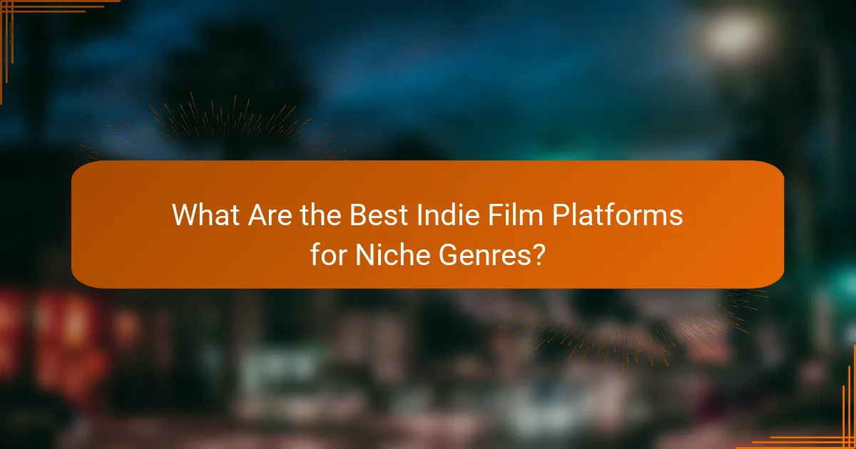 What Are the Best Indie Film Platforms for Niche Genres?