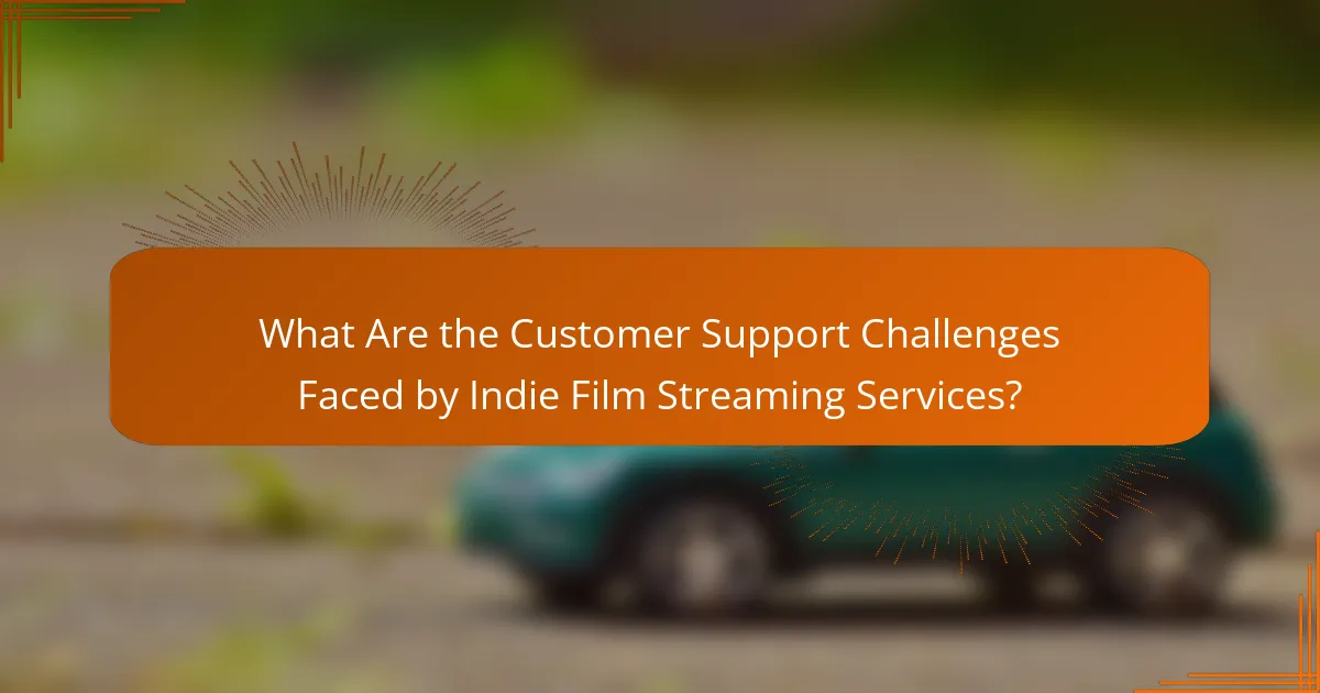 What Are the Customer Support Challenges Faced by Indie Film Streaming Services?