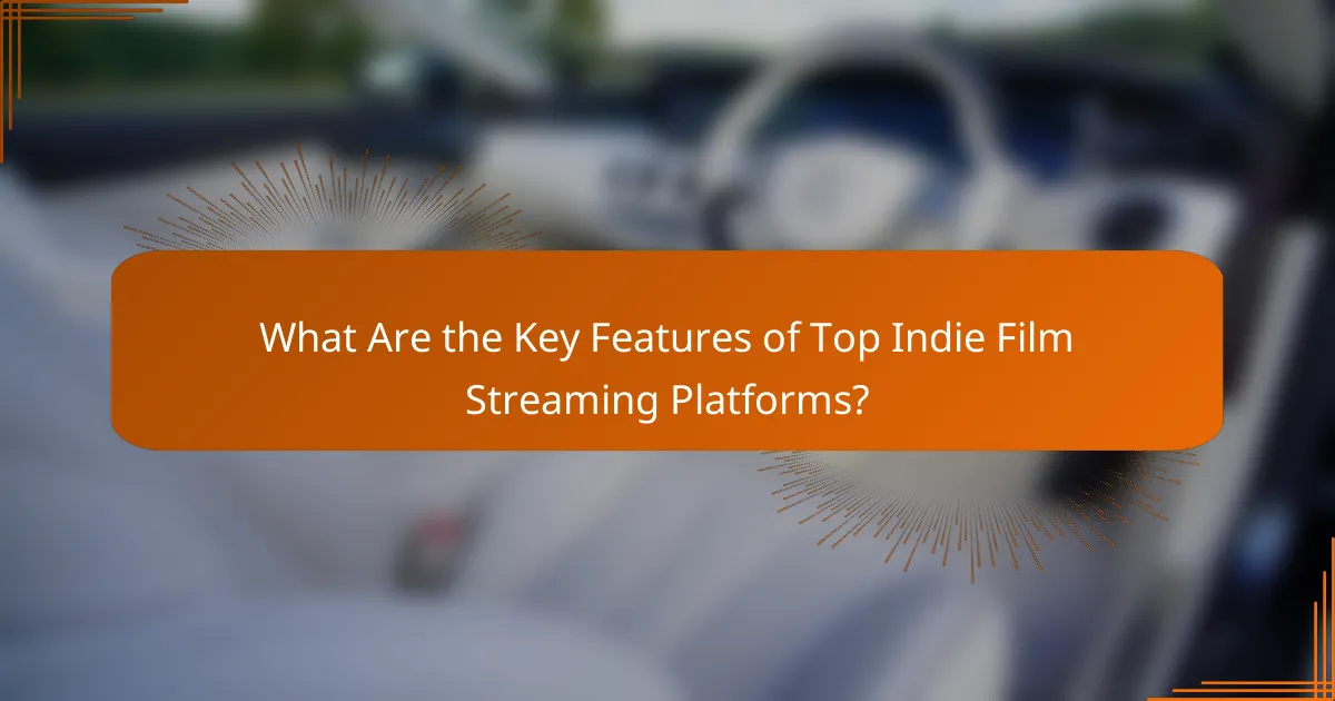 What Are the Key Features of Top Indie Film Streaming Platforms?