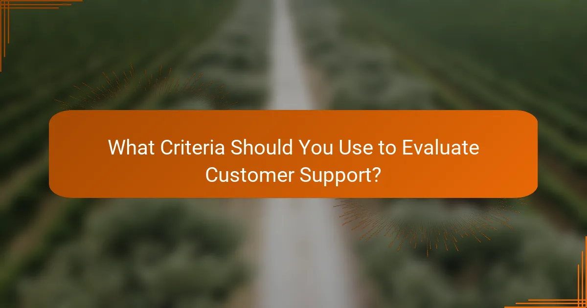 What Criteria Should You Use to Evaluate Customer Support?