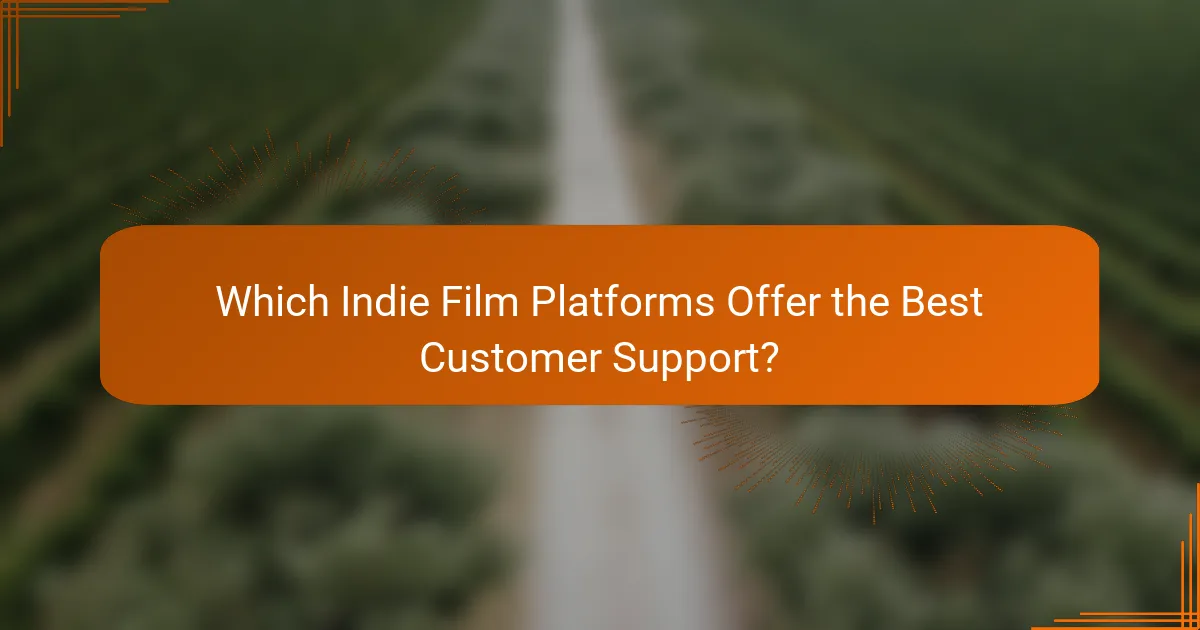 Which Indie Film Platforms Offer the Best Customer Support?